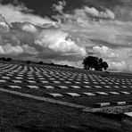 Cimitero di guerra