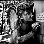 Cimitero di Staglieno - Forte come la morte è l'amore