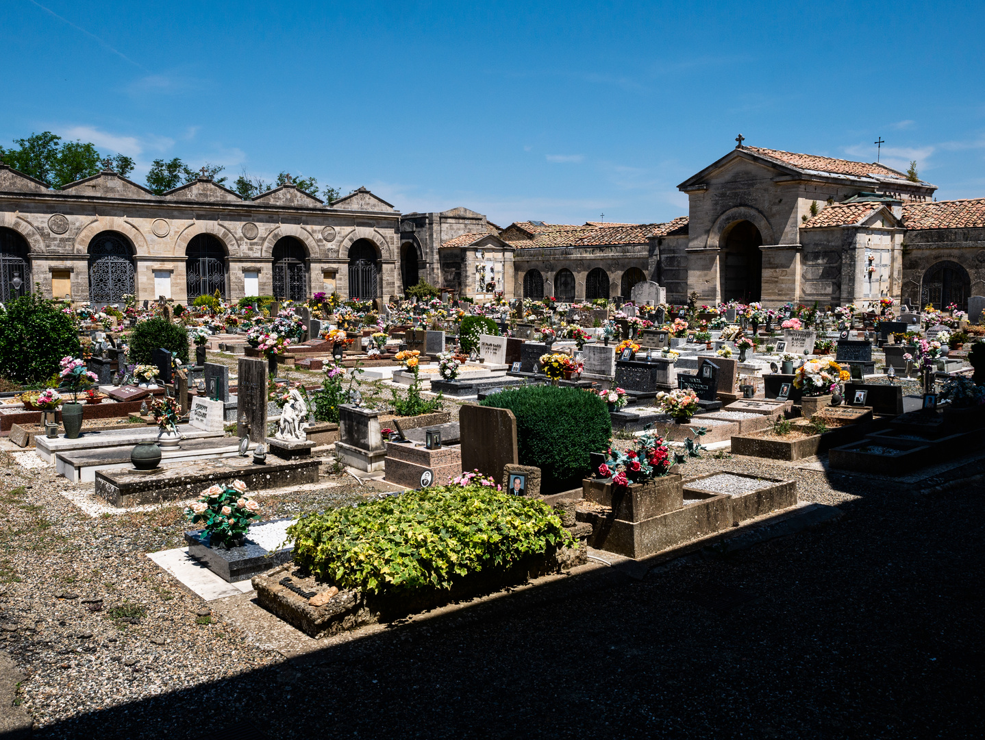 Cimitero di Volterra. 3