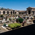 Cimitero di Volterra. 3
