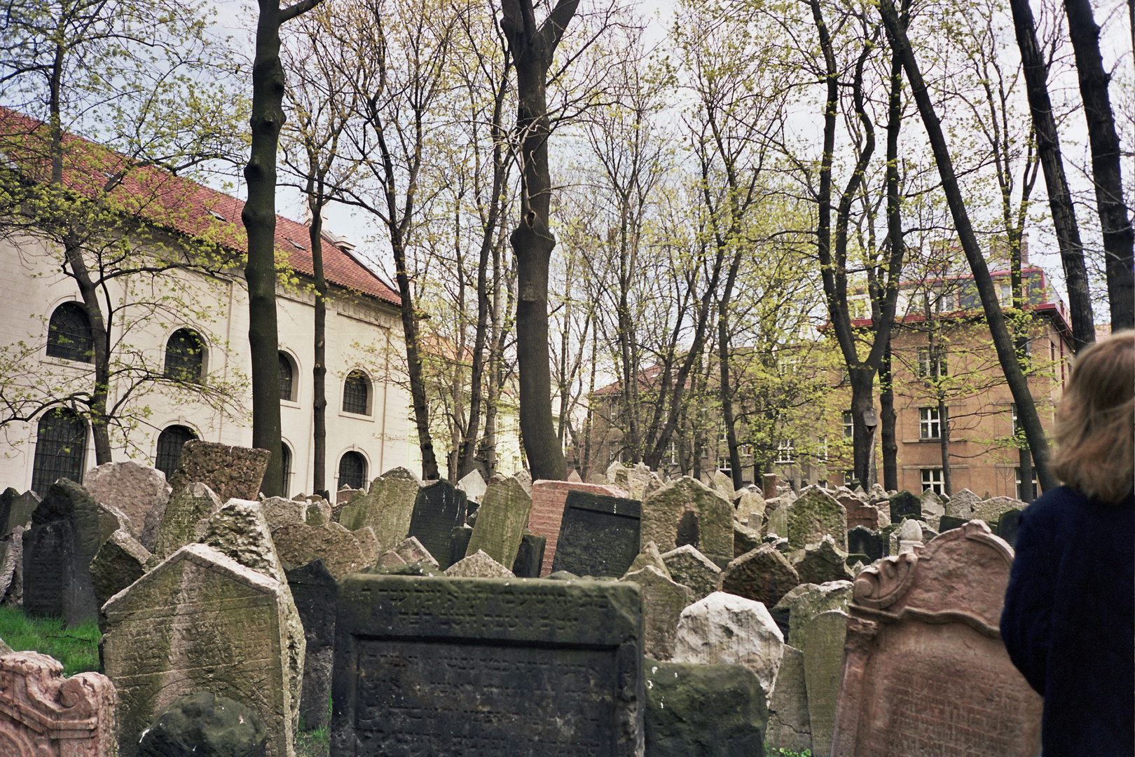 Cimitero ebraico - Praga