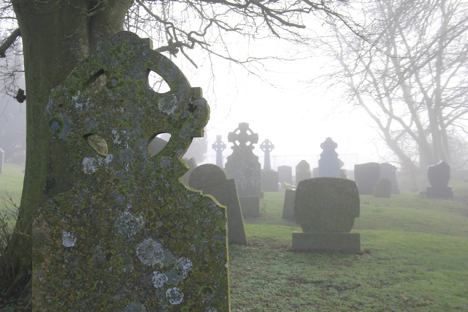 Cimitero irlandese
