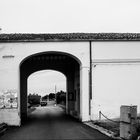 Cimitero Militare Canadese di Ortona (Moro River Canadian War Cemetery)_1