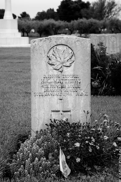 Cimitero Militare Canadese di Ortona (Moro River Canadian War Cemetery)_6