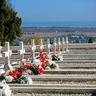 Cimitero militare polacco.