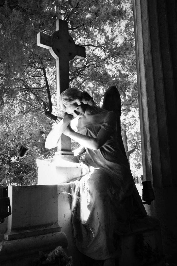 Cimitero Monumentale, Genova 