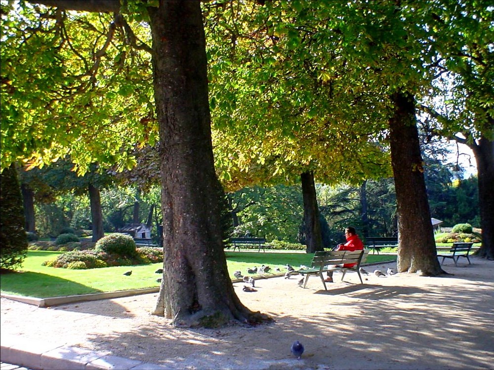 Cimitière du Père-Lachaise ( VIII )