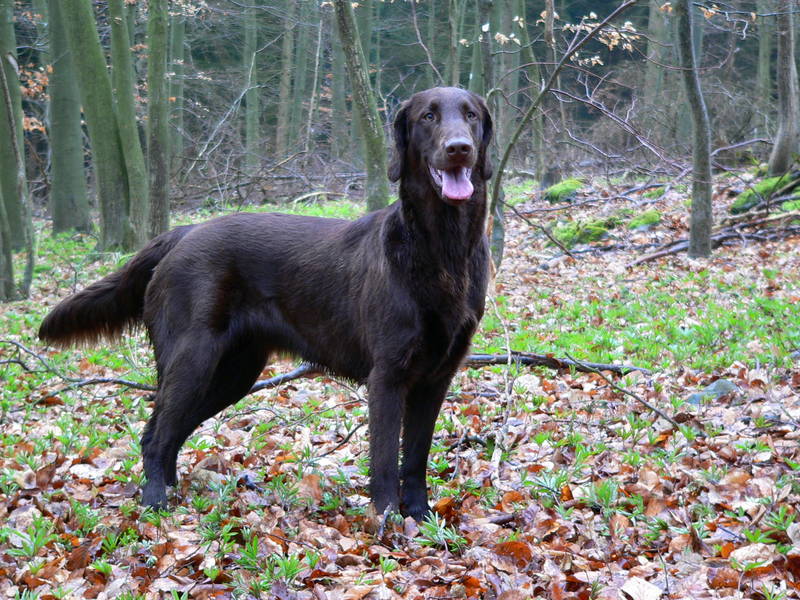 Cina beim Stehtraining