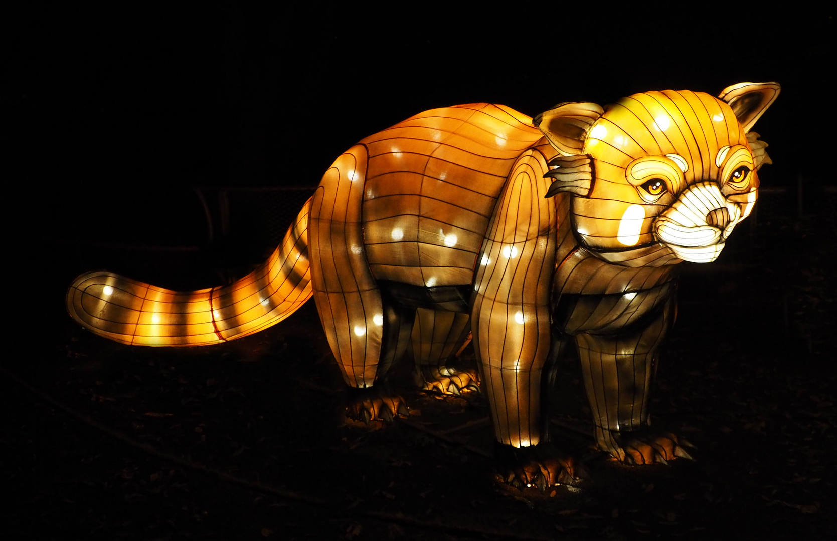 Cina light Festival Kölner Zoo ....