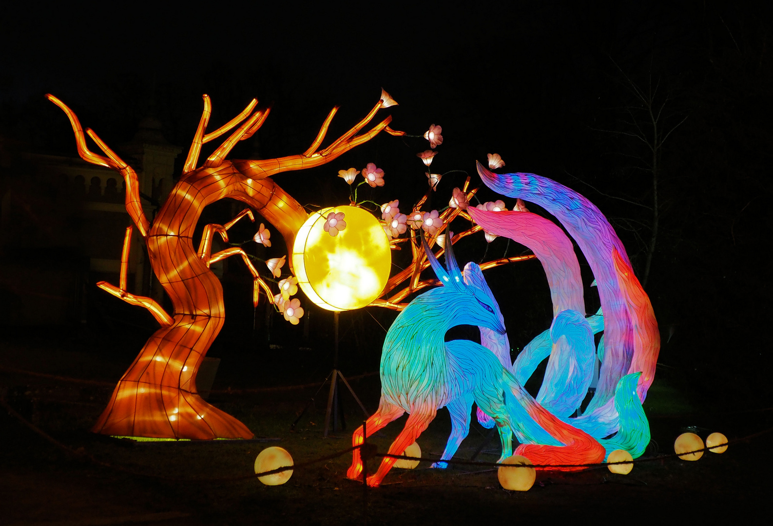Cina light Festival Kölner Zoo 
