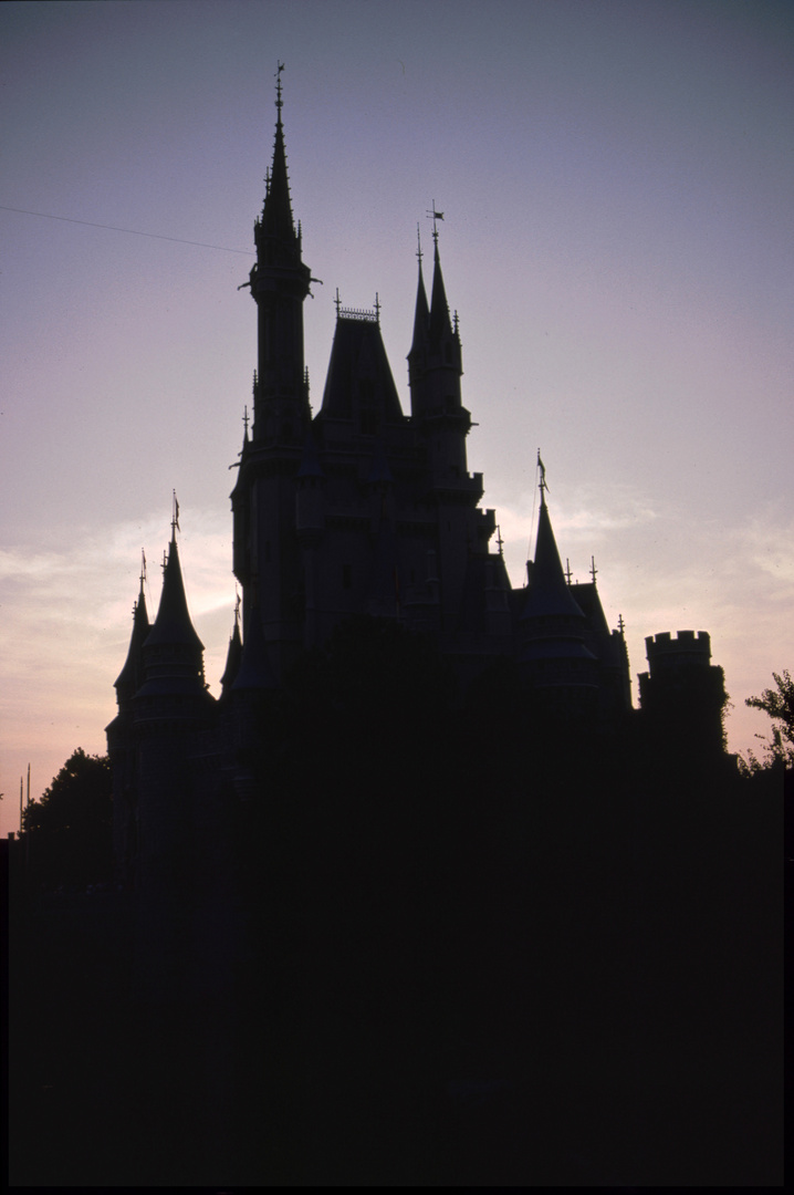 Cinderella Castle