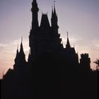 Cinderella Castle