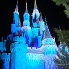 Cinderella's Castle at Night - Disney World Florida