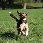 Cindy mit ball