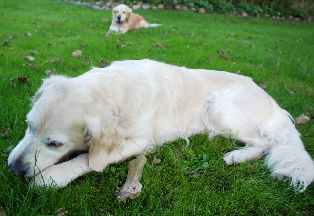 Cindy und Cora