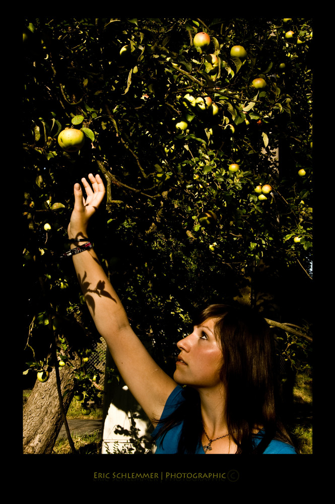 Cindy und der Apfelbaum