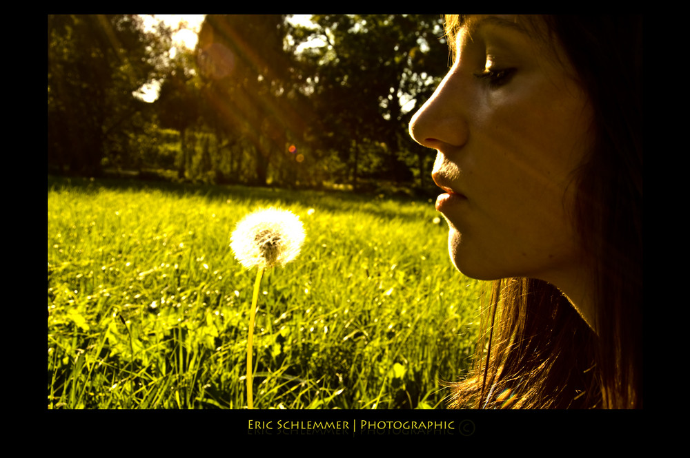 Cindy und die Pusteblume