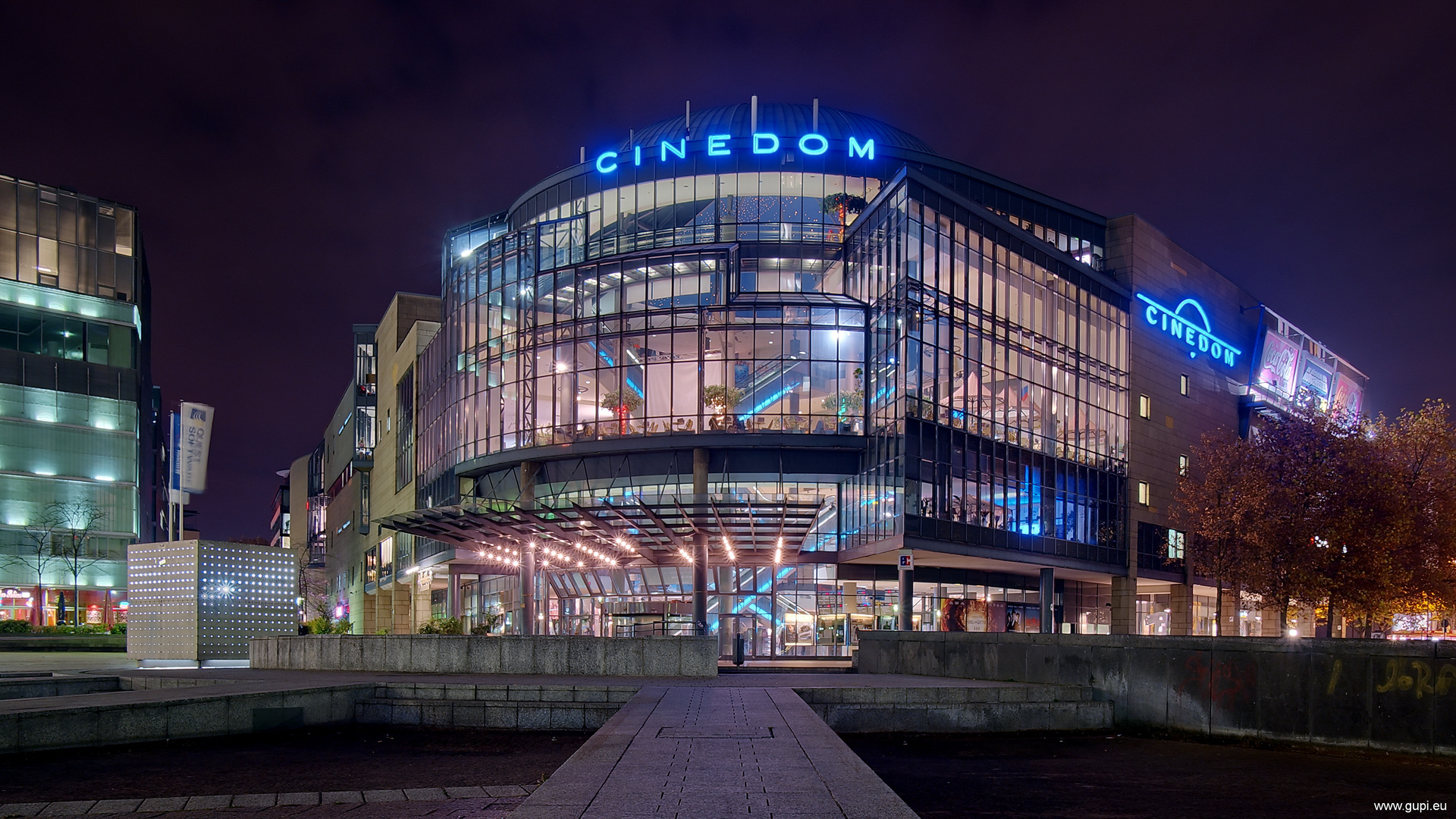 CINEDOM