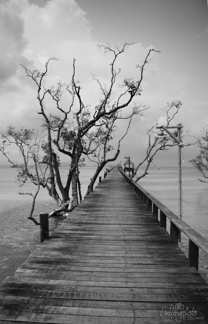 Cinnamon Boardwalk