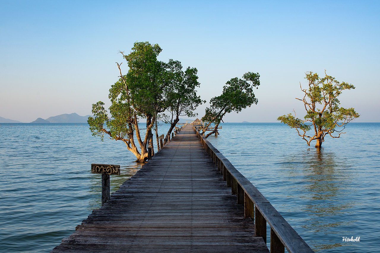 Cinnamon Scenic Boardwalk