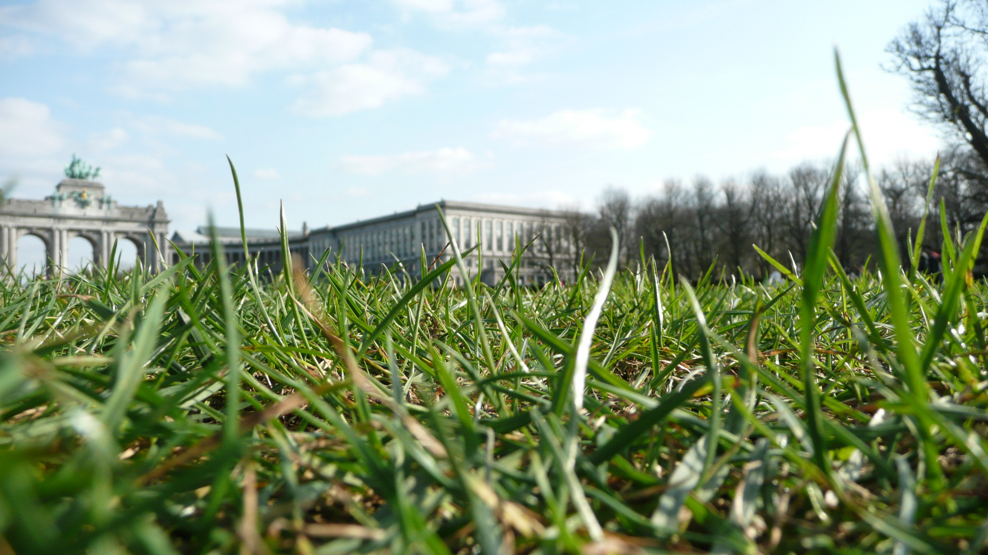 Cinquantenaire Printemps