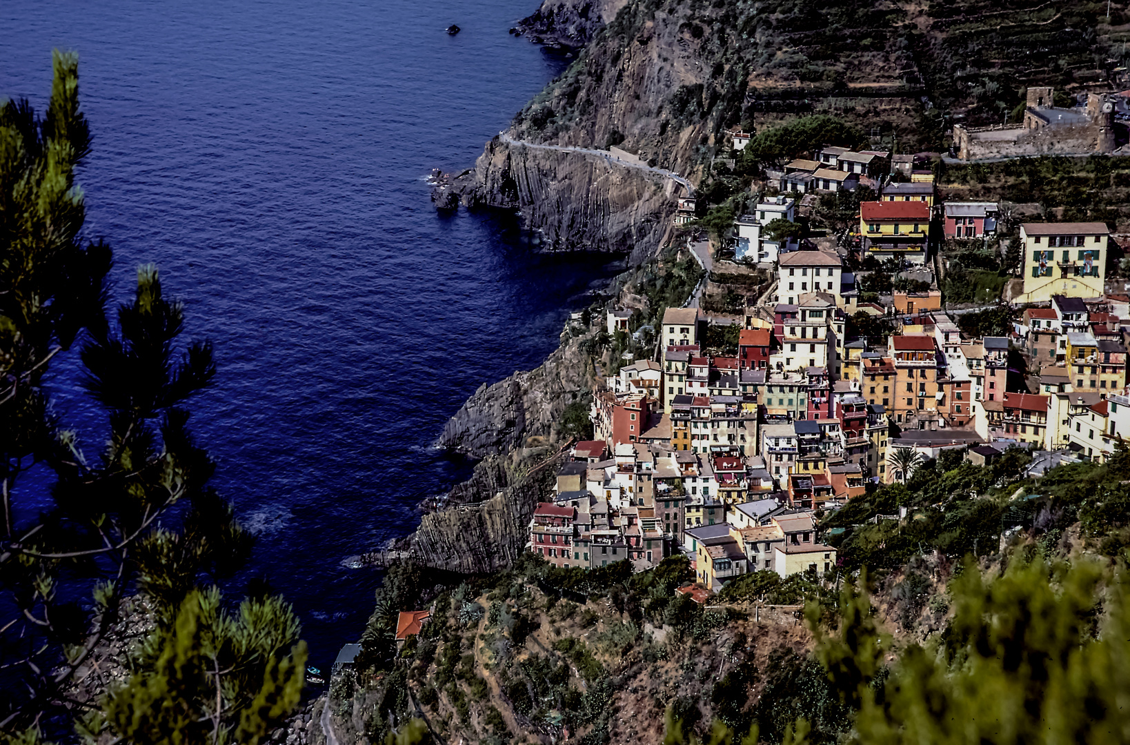 Cinque Terre