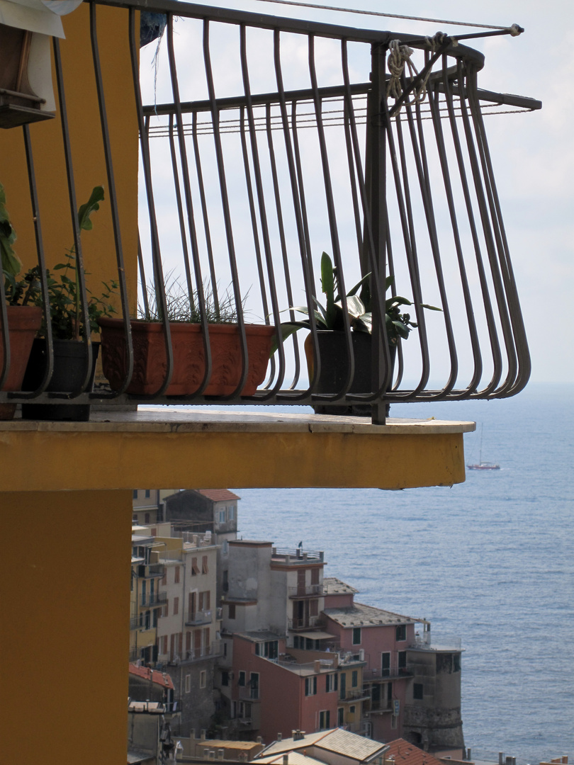 Cinque Terre 1 - Manarola