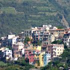 Cinque Terre