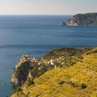 Cinque Terre (3)