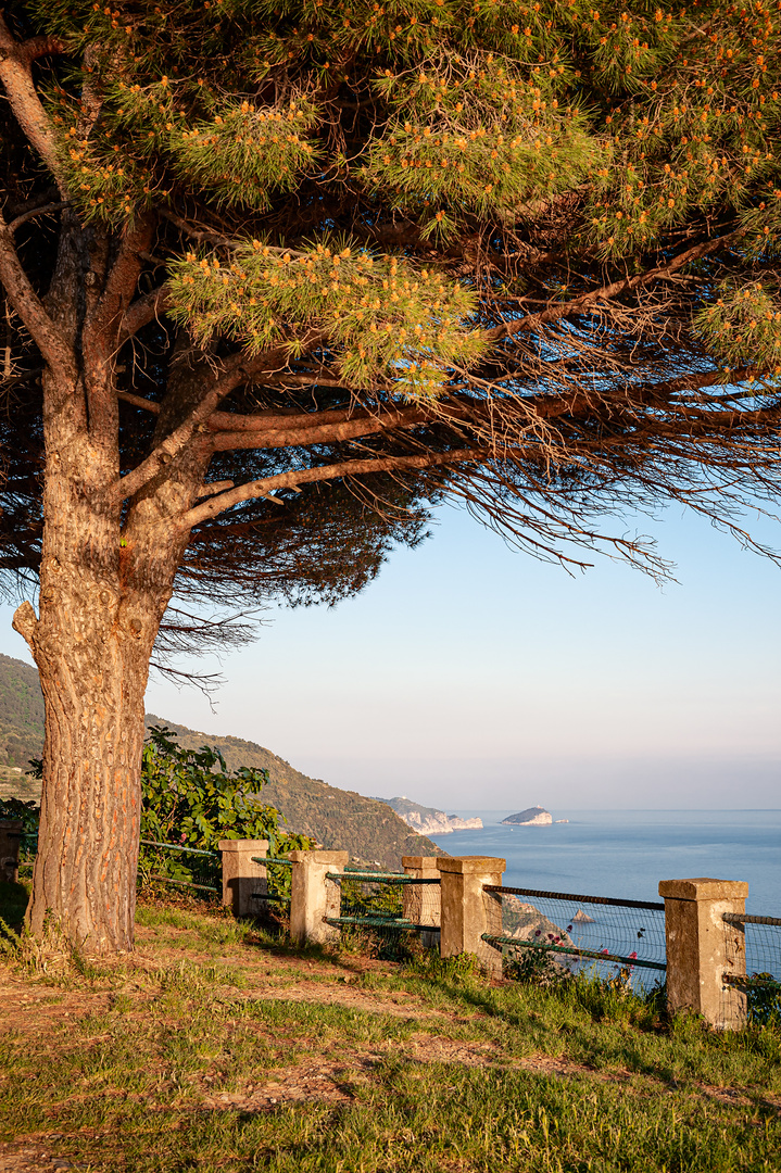 Cinque Terre