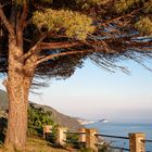 Cinque Terre