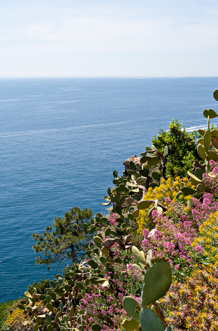 Cinque Terre