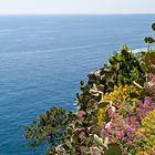 Cinque Terre