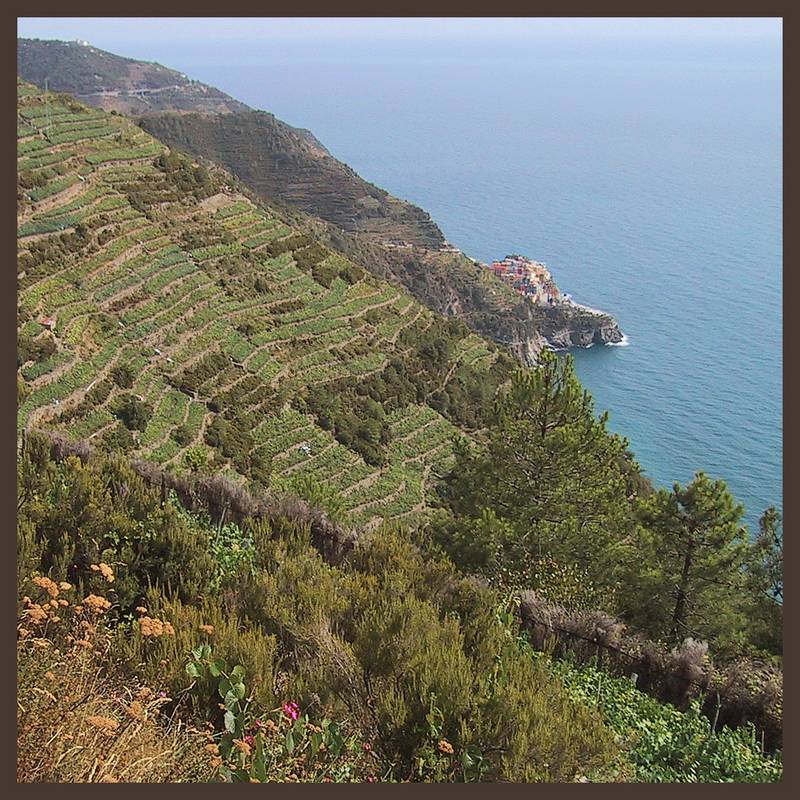 Cinque Terre