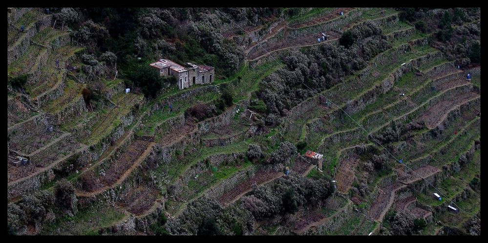 Cinque Terre 9