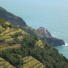 Cinque Terre