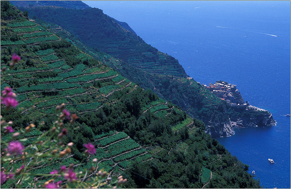 Cinque Terre