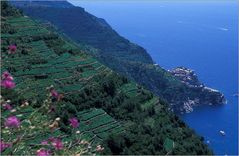 Cinque Terre