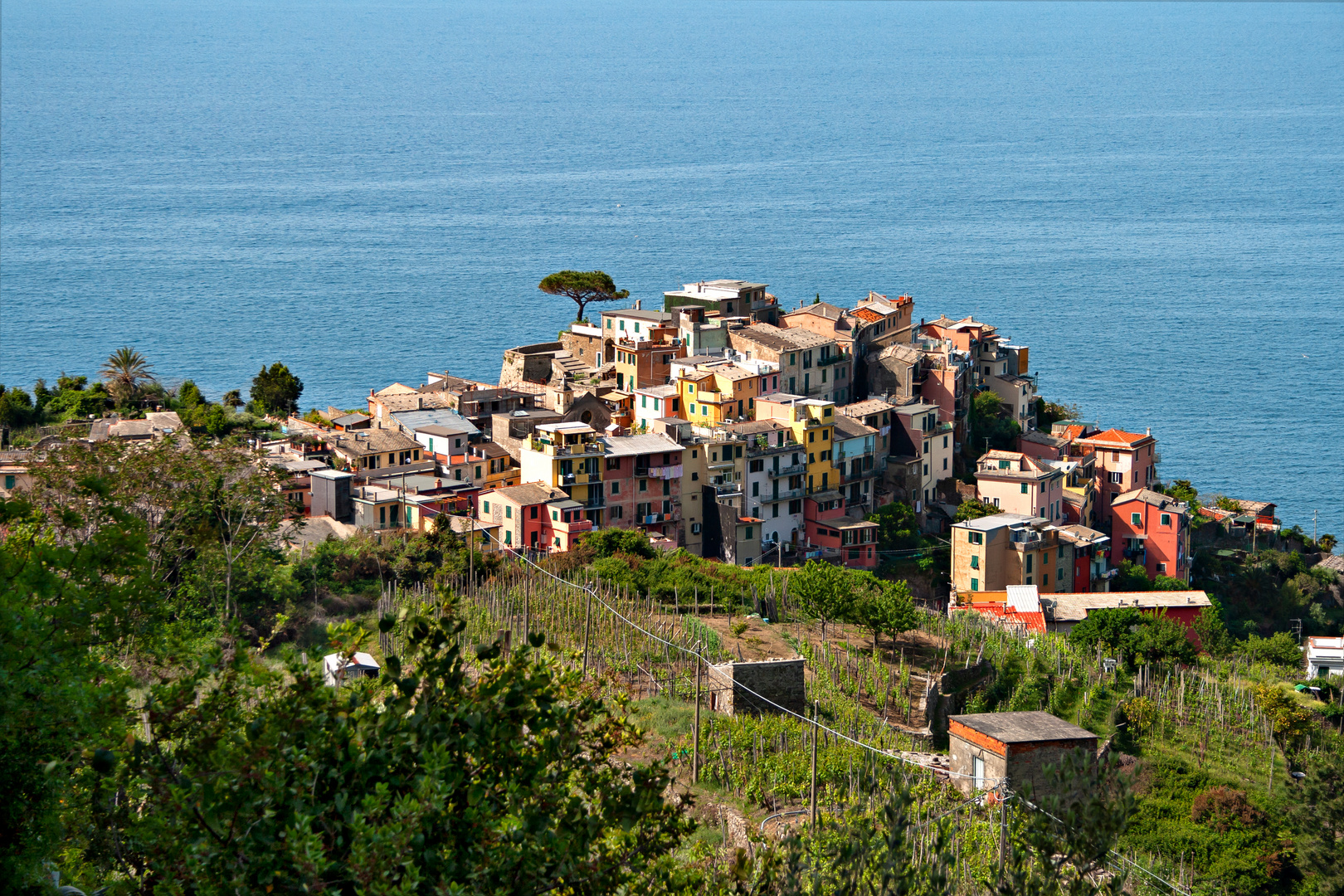 Cinque Terre