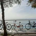 Cinque Terre