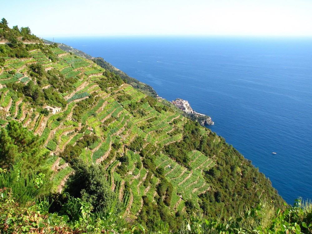 Cinque Terre Coastline, Italy