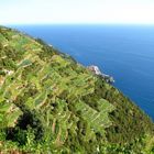 Cinque Terre Coastline, Italy