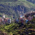 Cinque Terre: Corniglia