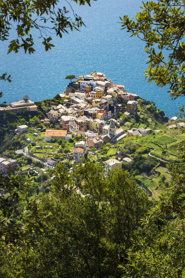 Cinque Terre - Corniglia