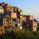 Cinque terre