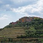 Cinque Terre