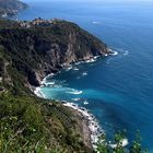 Cinque Terre II