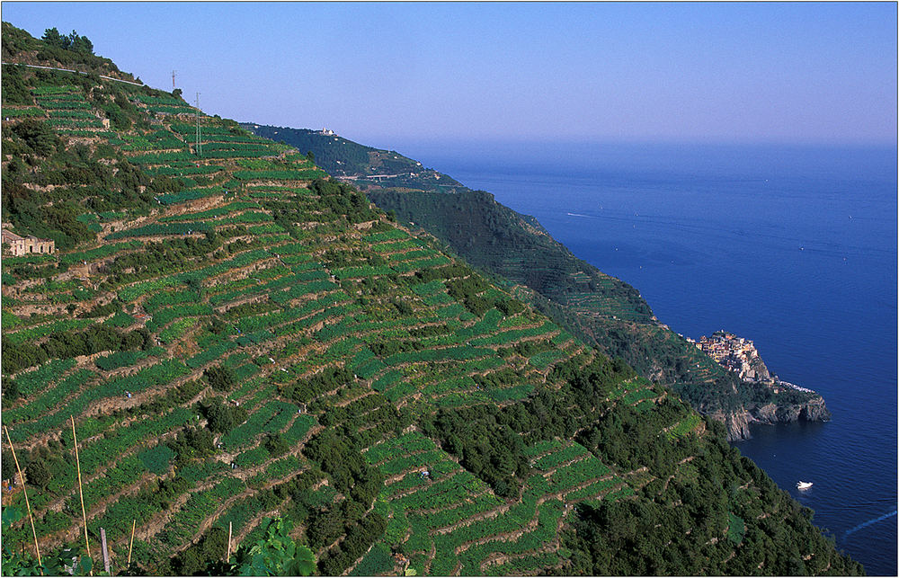 Cinque Terre II