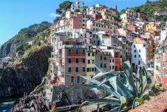 Cinque Terre III