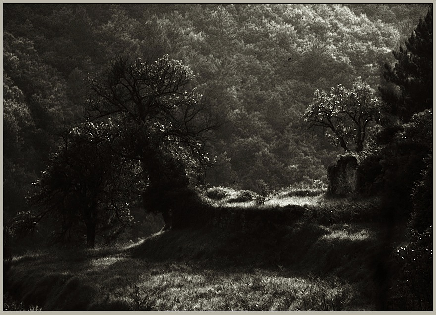 Cinque Terre | Italien 1984